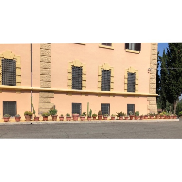 Poshmark Ambassador Blake Lyons - Picture 6 of 8